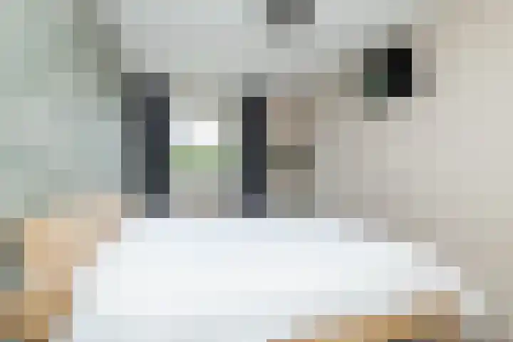 Sparrenlaan 36 IJhorst thumbnail 36