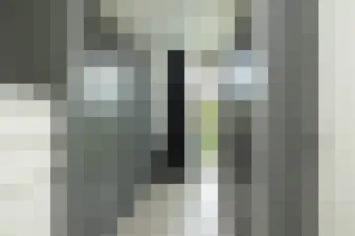 Sparrenlaan 36 IJhorst thumbnail 41