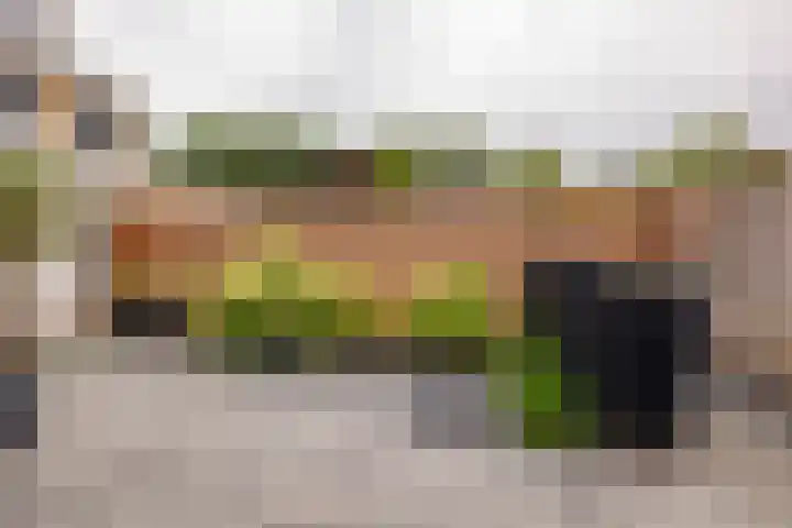 Sparrenlaan 36 IJhorst thumbnail 55