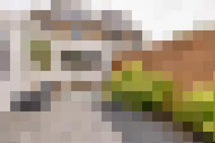 Sparrenlaan 36 IJhorst thumbnail 56