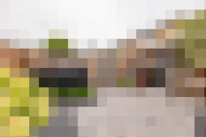Sparrenlaan 36 IJhorst thumbnail 59