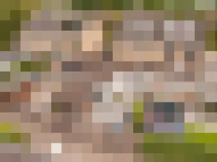 Sparrenlaan 36 IJhorst thumbnail 6