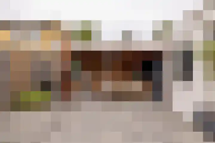 Sparrenlaan 36 IJhorst thumbnail 60