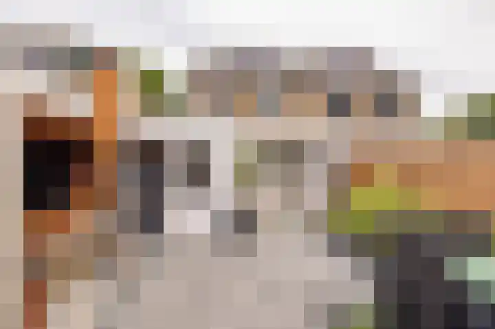 Sparrenlaan 36 IJhorst thumbnail 64