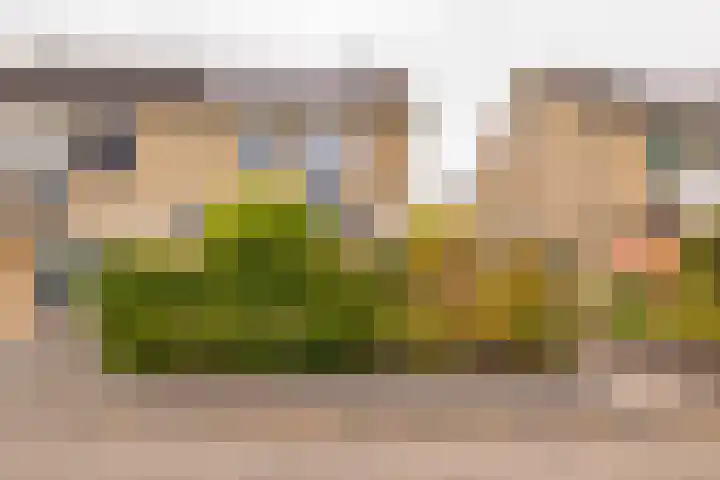 Sparrenlaan 36 IJhorst thumbnail 68