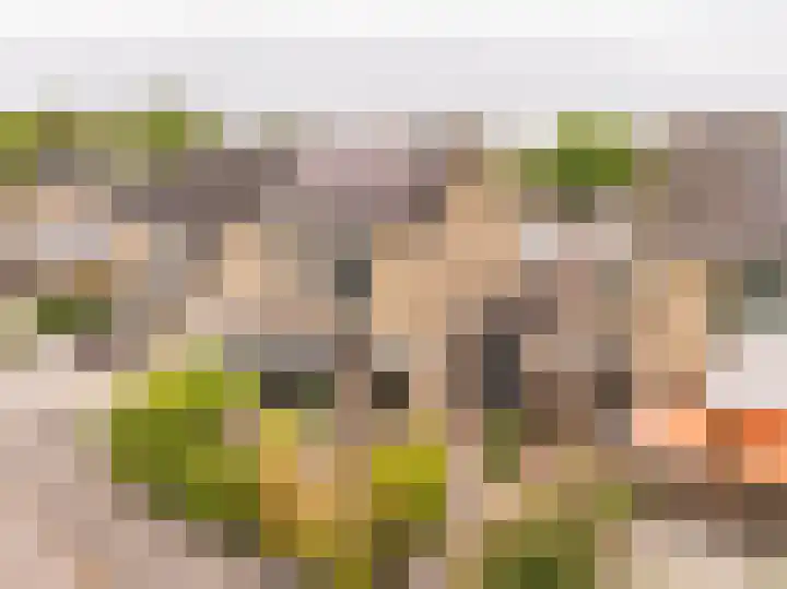 Sparrenlaan 36 IJhorst thumbnail 7