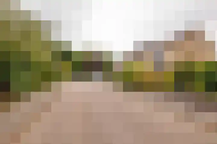 Sparrenlaan 36 IJhorst thumbnail 71