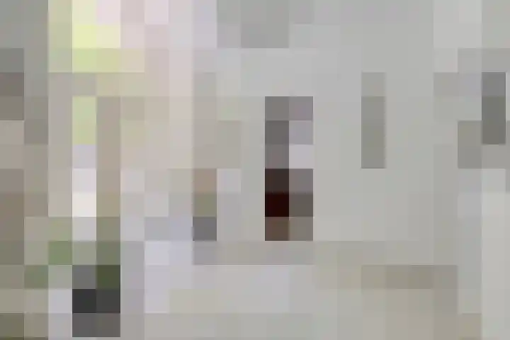 Sparrenlaan 4 Epe thumbnail 12