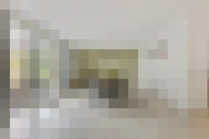 Sparrenlaan 4 Epe thumbnail 19