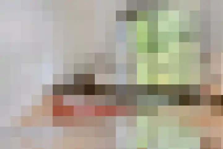Sparrenlaan 4 Epe thumbnail 21