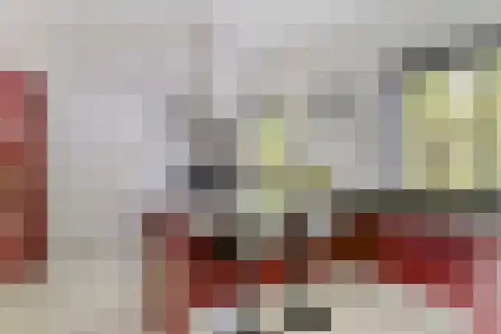 Sparrenlaan 4 Epe thumbnail 23