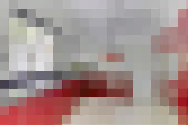 Sparrenlaan 4 Epe thumbnail 24