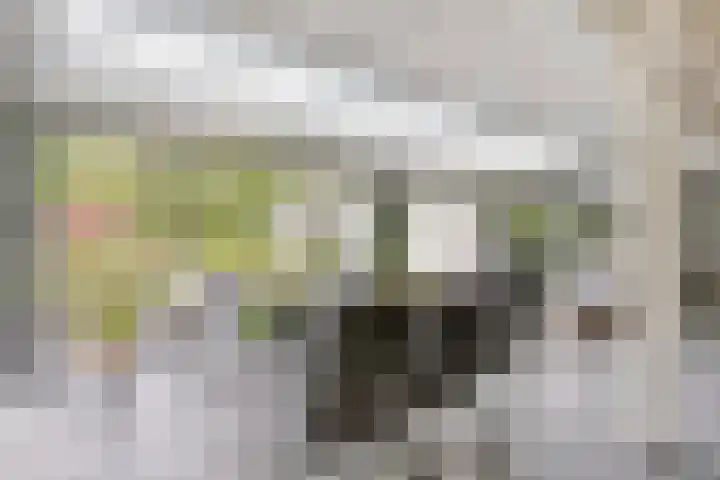 Sparrenlaan 4 Epe thumbnail 26
