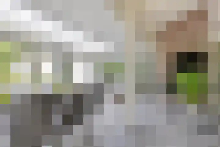 Sparrenlaan 4 Epe thumbnail 27