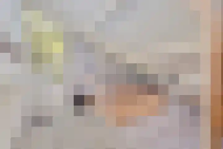 Sparrenlaan 4 Epe thumbnail 38