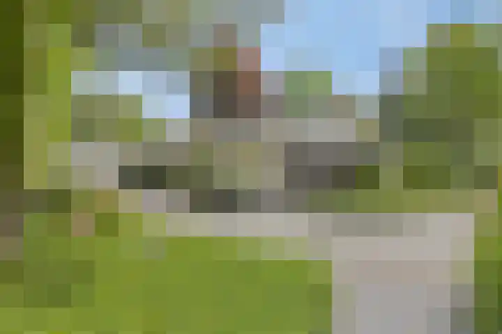 Sparrenlaan 4 Epe thumbnail 8
