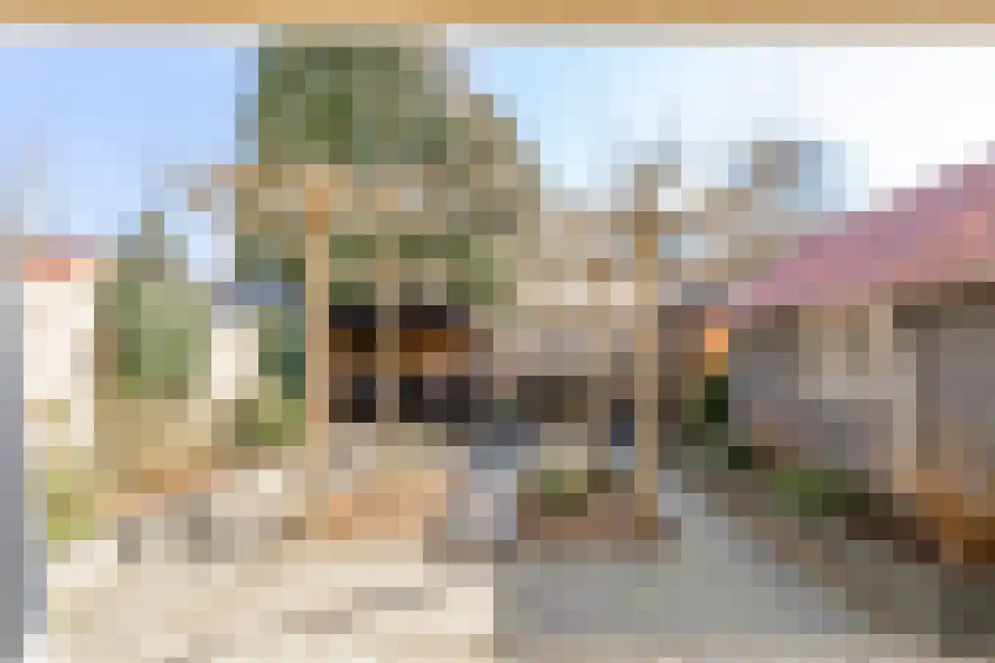 Sparrenlaan 40 Driebergen-Rijsenburg thumbnail 43