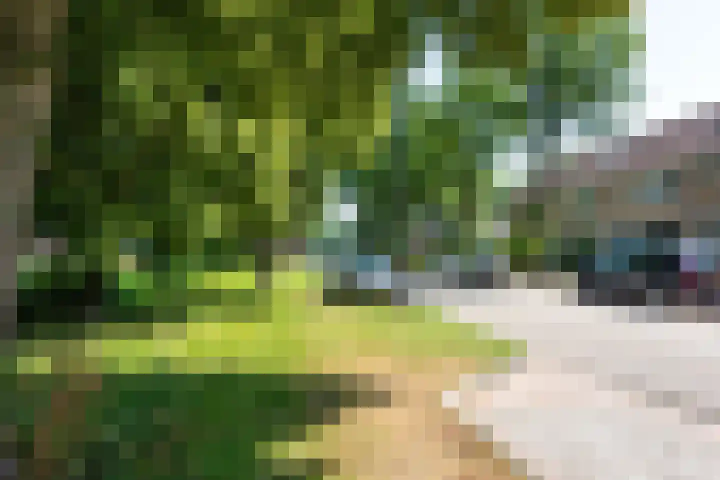 Sparrenlaan 46 Heerhugowaard thumbnail 29