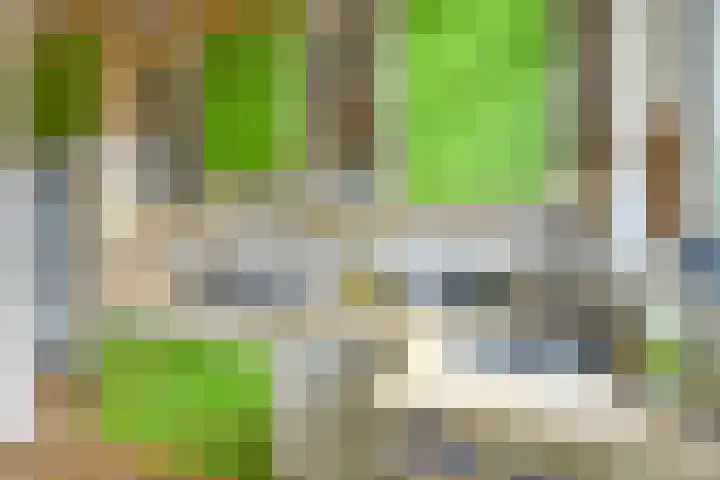 Sparrenlaan 5 Driebergen-Rijsenburg thumbnail 11