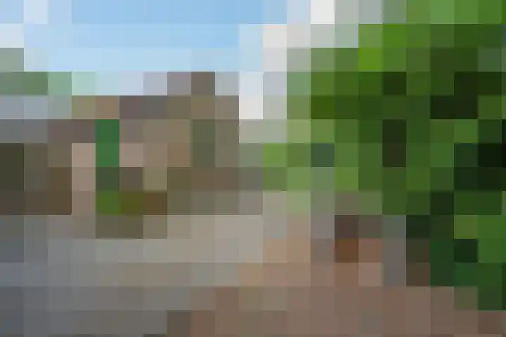Sparrenlaan 5 Driebergen-Rijsenburg thumbnail 27