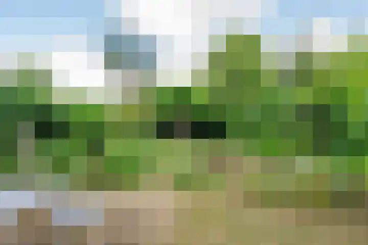 Sparrenlaan 5 Driebergen-Rijsenburg thumbnail 29