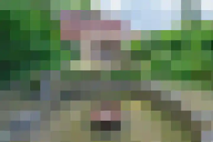 Sparrenlaan 5 Driebergen-Rijsenburg thumbnail 30