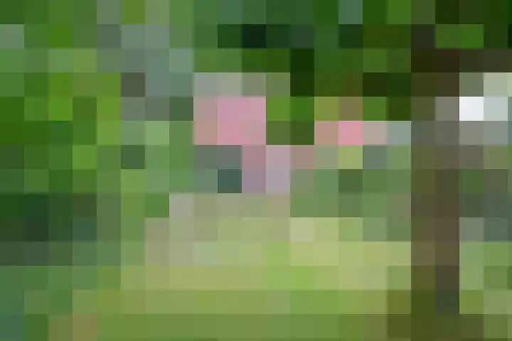 Sparrenlaan 5 Driebergen-Rijsenburg thumbnail 31