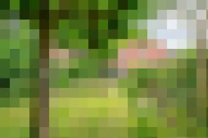 Sparrenlaan 5 Driebergen-Rijsenburg thumbnail 32
