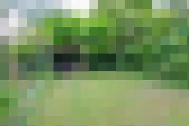 Sparrenlaan 5 Driebergen-Rijsenburg thumbnail 33