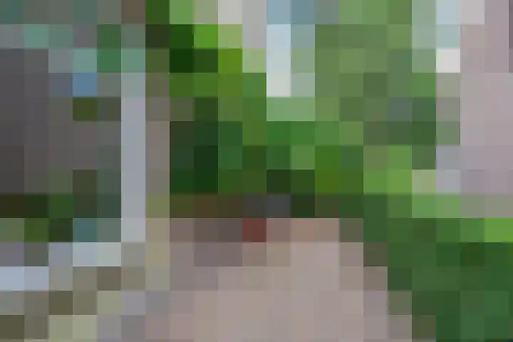 Sparrenlaan 5 Driebergen-Rijsenburg thumbnail 35