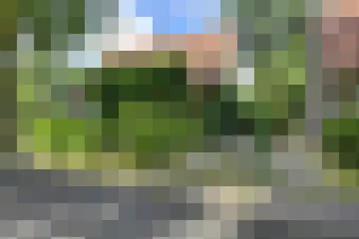 Sparrenlaan 5 Driebergen-Rijsenburg thumbnail 37