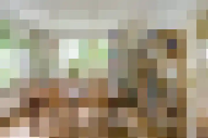 Sparrenlaan 5 Driebergen-Rijsenburg thumbnail 5