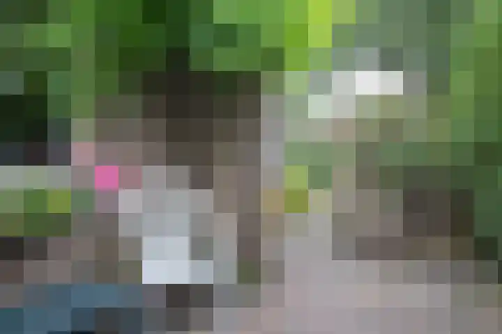 Sparrenlaan 5 Maarn thumbnail 31