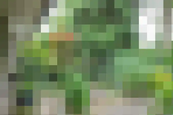 Sparrenlaan 5 Maarn thumbnail 32