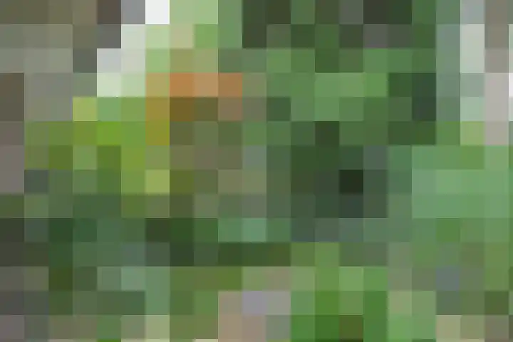 Sparrenlaan 5 Maarn thumbnail 33