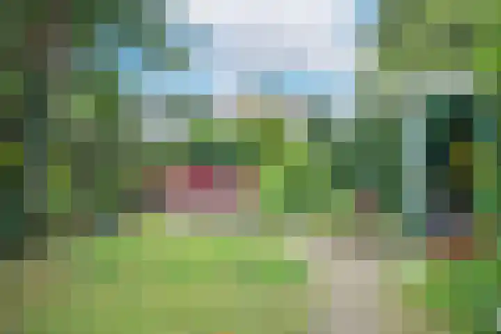 Sparrenlaan 5 Maarn thumbnail 36
