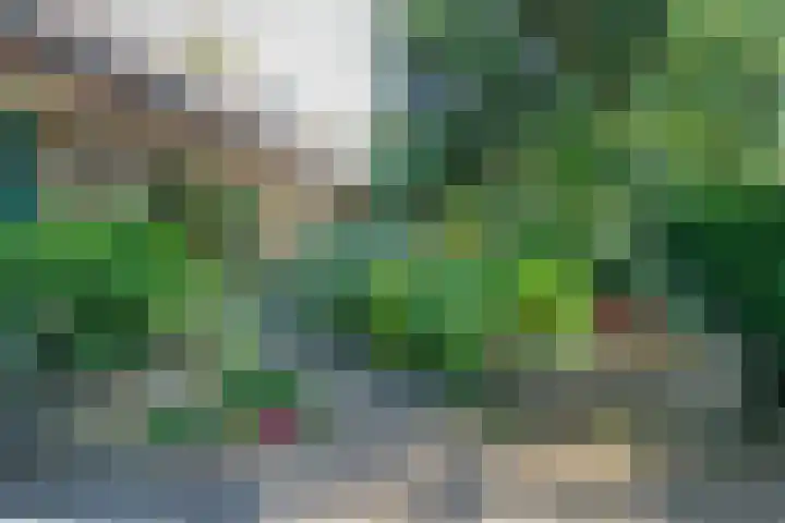 Sparrenlaan 5 Maarn thumbnail 6
