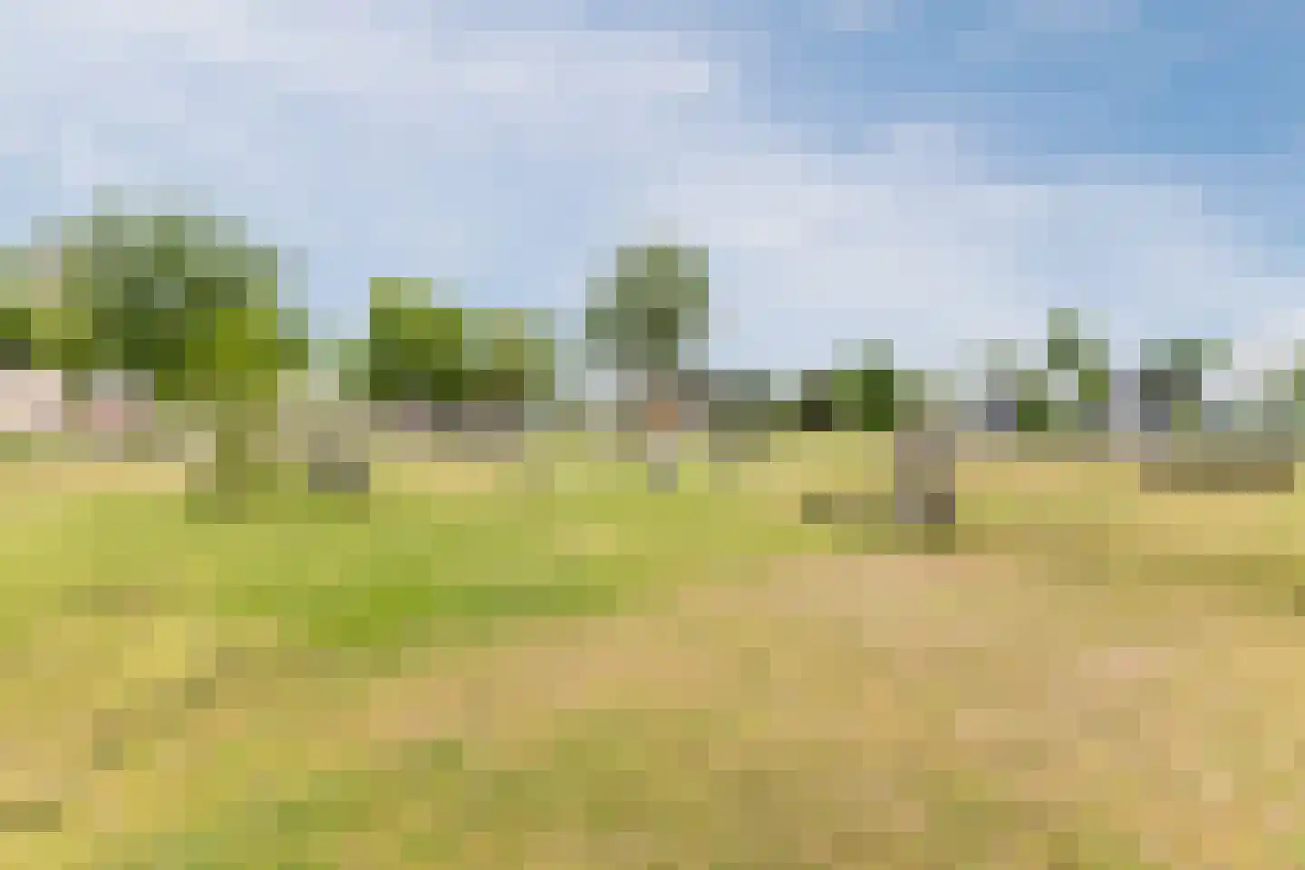 Sparrenlaan 5 Sterksel thumbnail 30