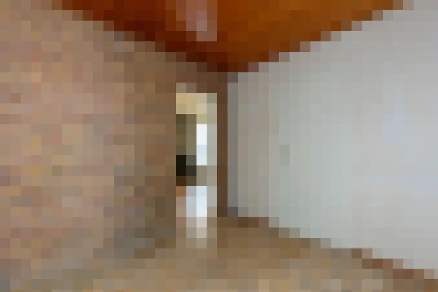 Sparrenlaan 6 Assen thumbnail 20