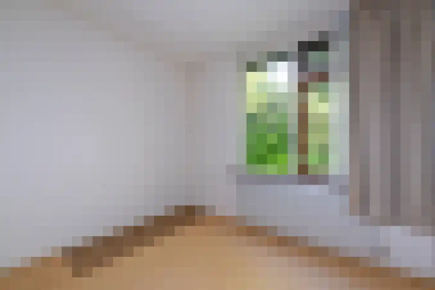 Sparrenlaan 6 Assen thumbnail 34