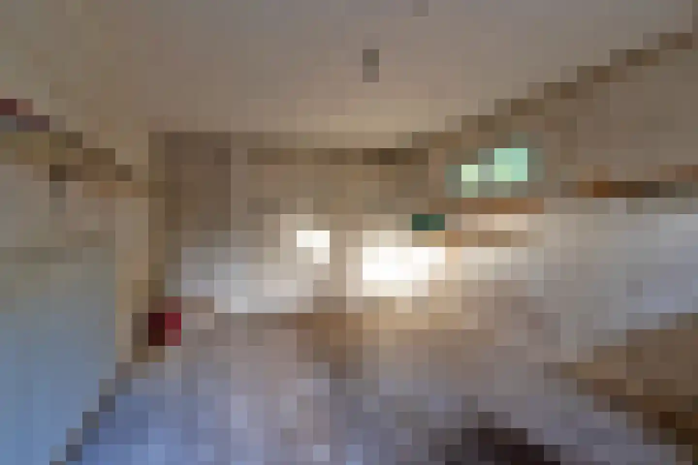 Sparrenlaan 6 Assen thumbnail 37
