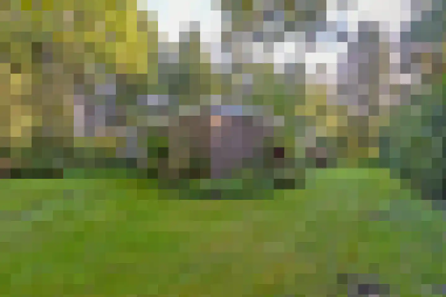 Sparrenlaan 6 Assen thumbnail 39