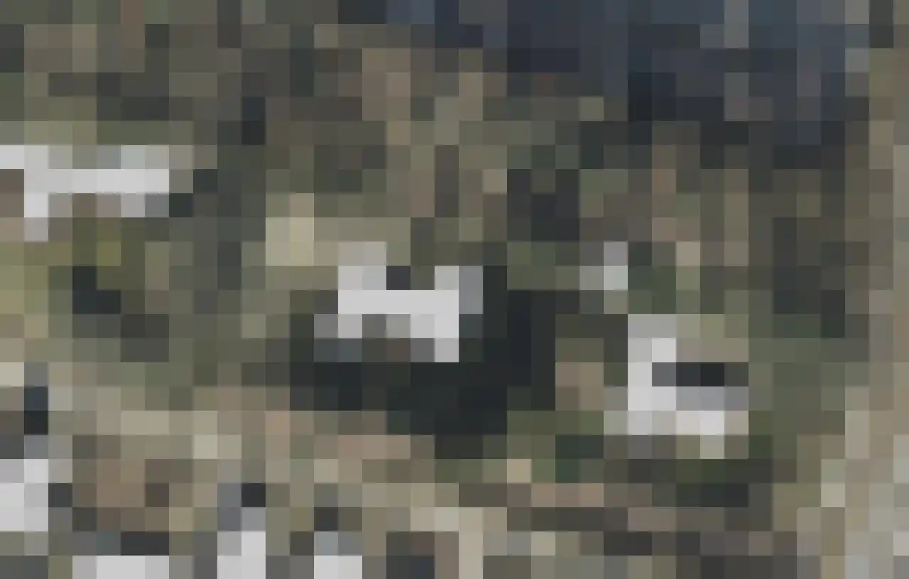 Sparrenlaan 6 Assen thumbnail 4