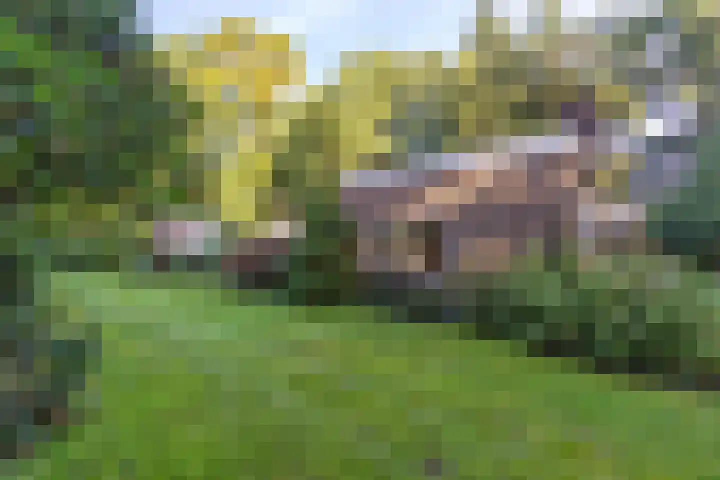 Sparrenlaan 6 Assen thumbnail 40