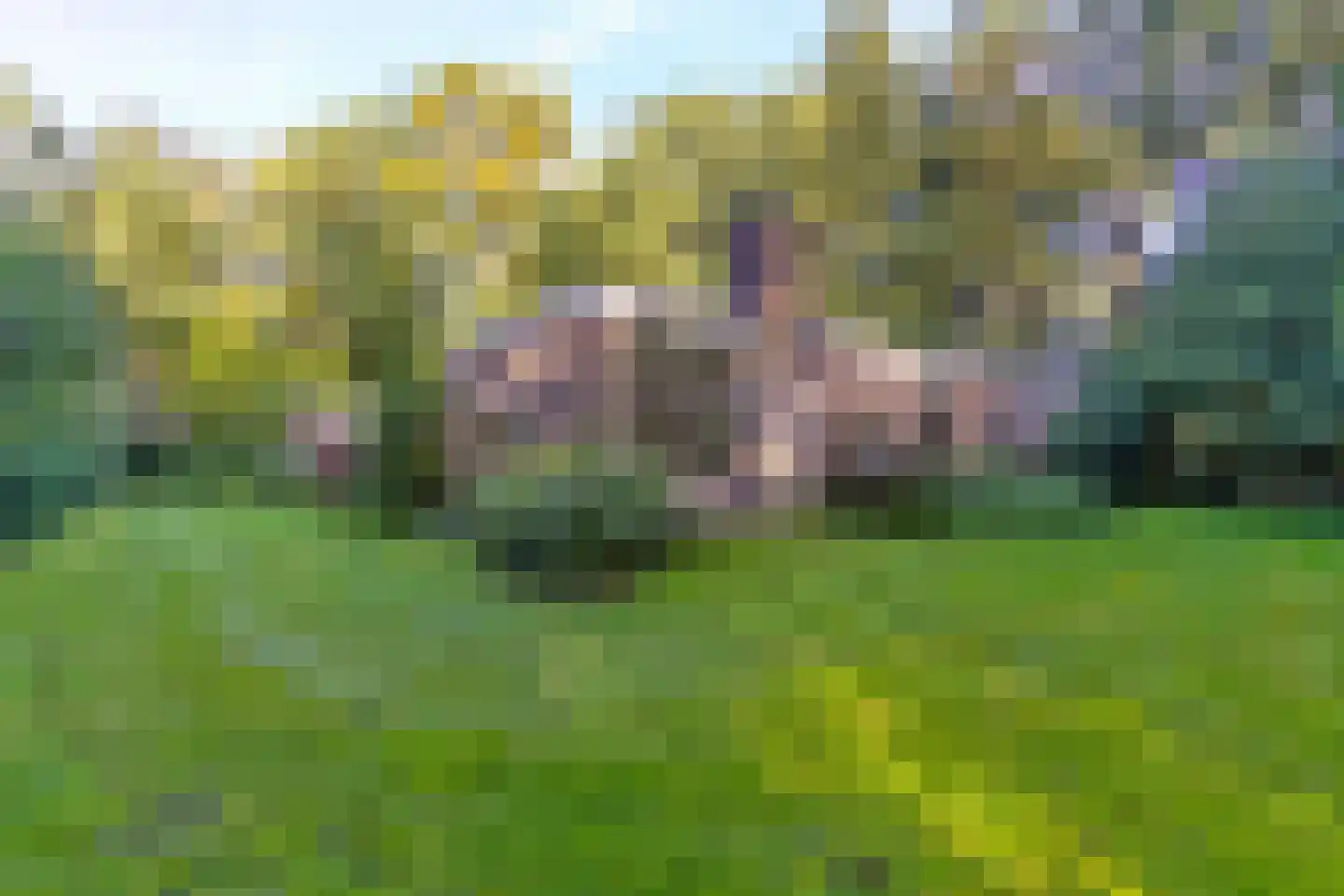 Sparrenlaan 6 Assen thumbnail 41