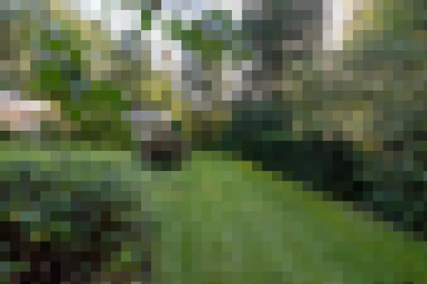 Sparrenlaan 6 Assen thumbnail 43