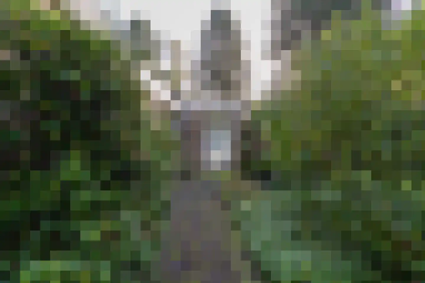 Sparrenlaan 6 Assen thumbnail 44
