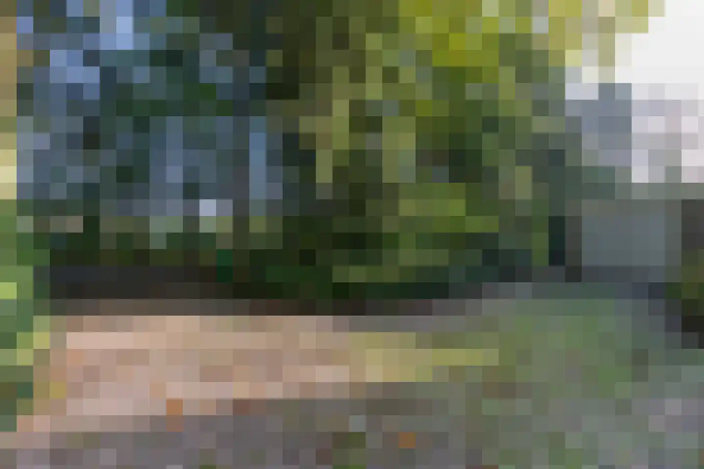 Sparrenlaan 6 Assen thumbnail 46