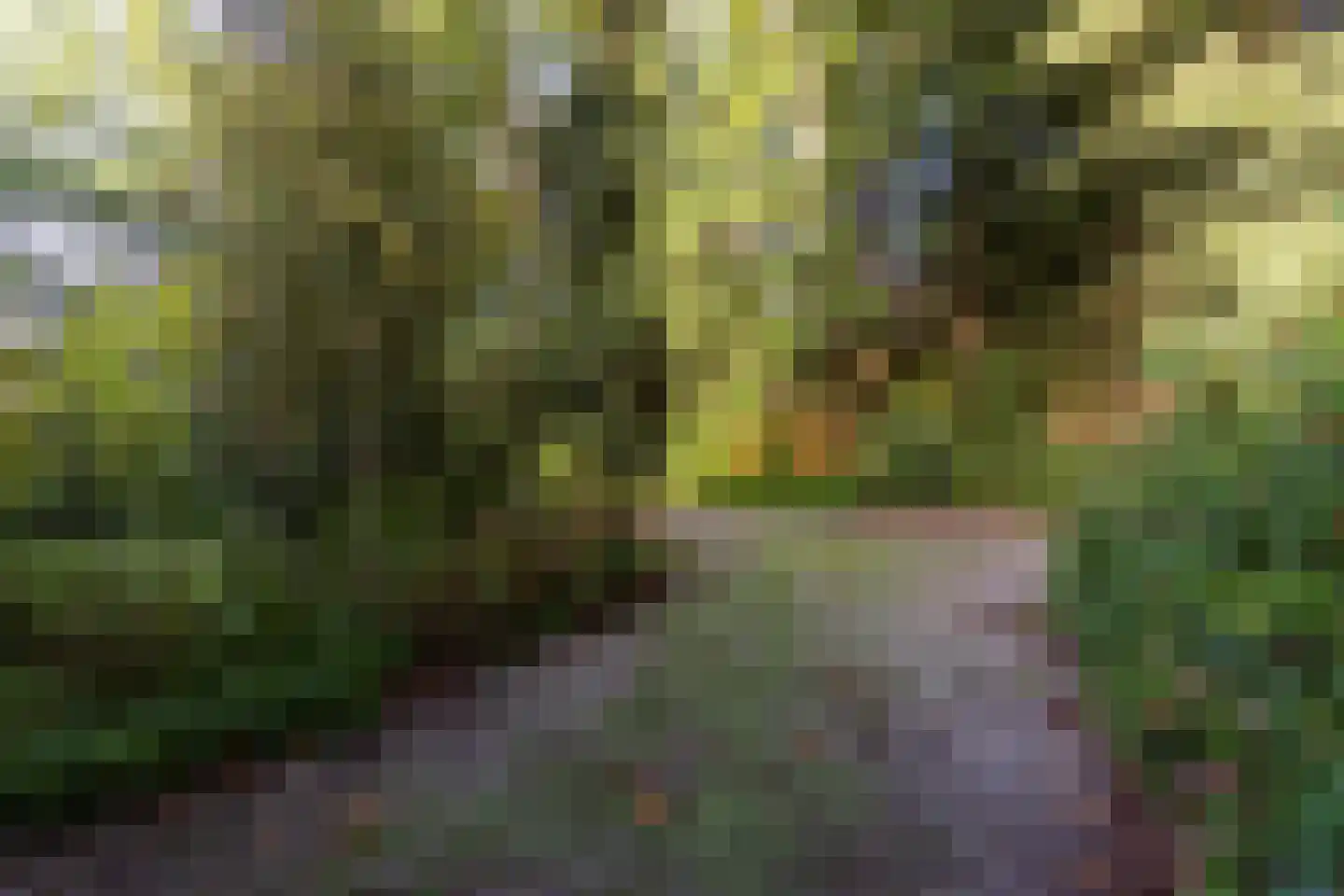 Sparrenlaan 6 Assen thumbnail 47
