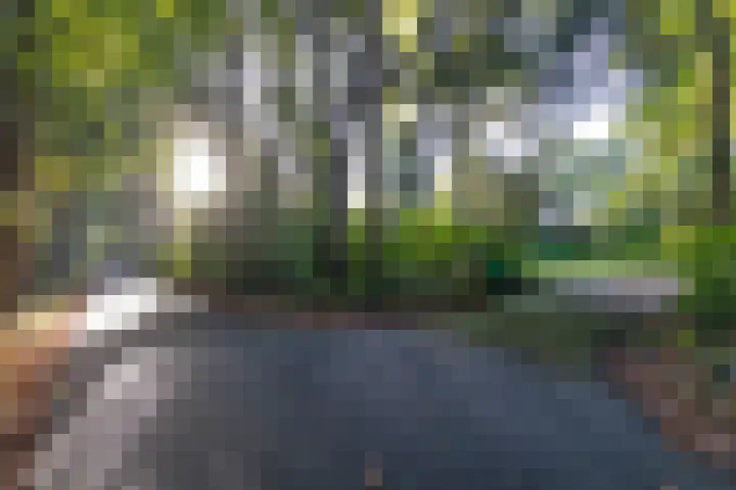 Sparrenlaan 6 Assen thumbnail 49